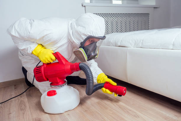 Trusted Hutchinson Island South, FL Pest Control Experts