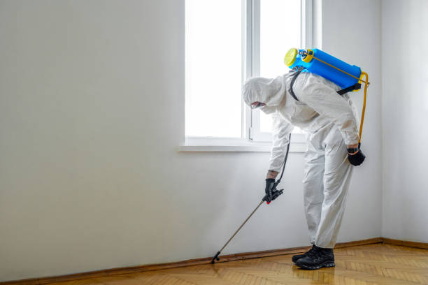 Best Exterminator Services  in Hutchinson Island South, FL
