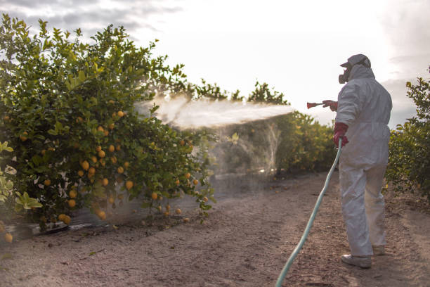 Best Pest Control Near Me  in Hutchinson Island South, FL