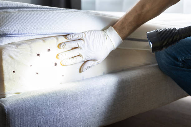 Best Pest Inspection Near Me  in Hutchinson Island South, FL